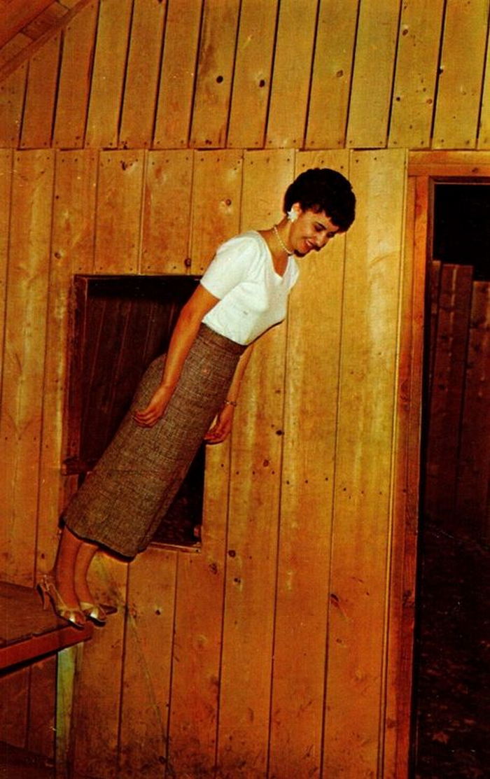 Mystery Spot - Vintage Postcard